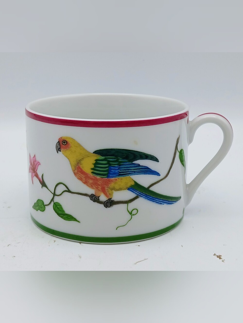 Lynn Chase  Parrots Of Paradise Mug 1989